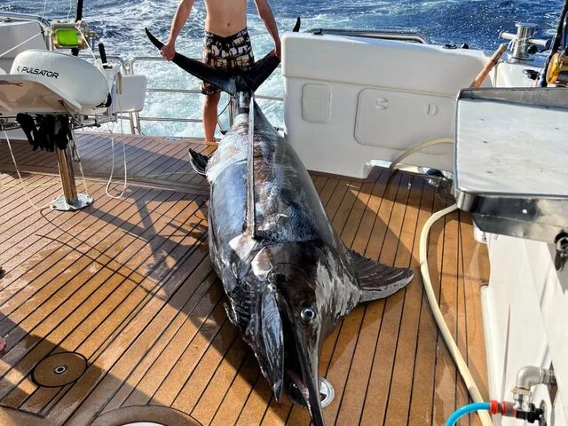 A young angler proudly displaying a large swordfish on the deck of a sport fishing boat, showcasing a successful deep-sea fishing adventure.